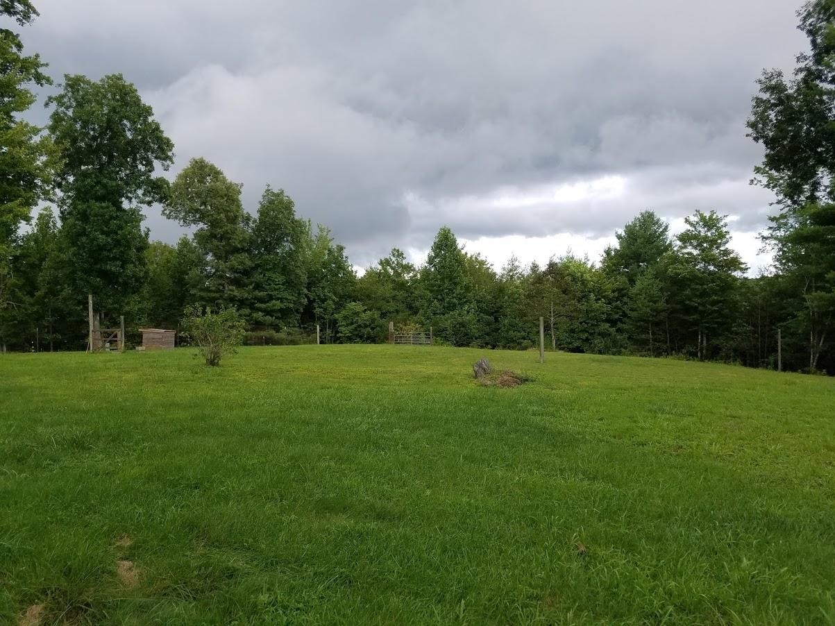 467 Ridge Road Lancing, TN 37770 - Photo 30 of 40 a view of a green field with wooden fence