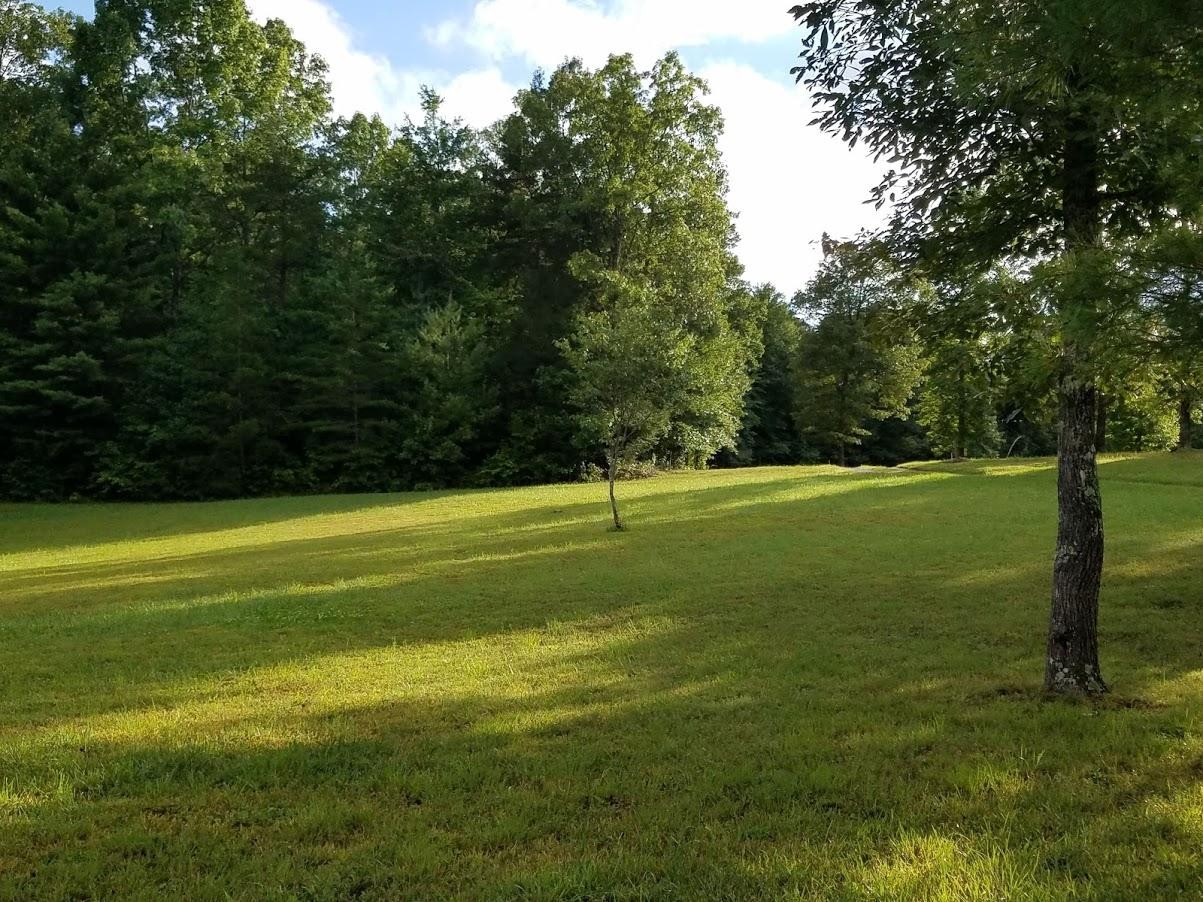 467 Ridge Road Lancing, TN 37770 - Photo 36 of 40 a view of a golf course with a lake