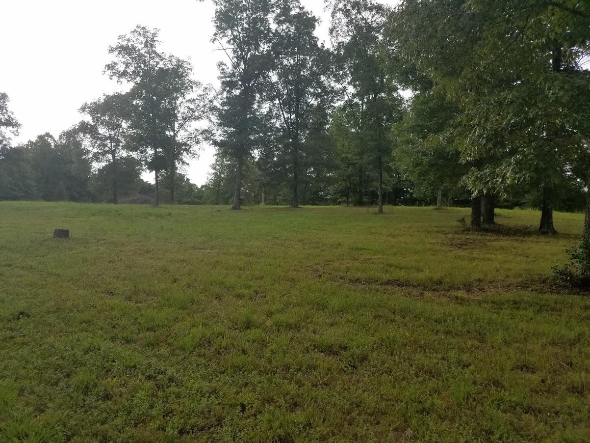 467 Ridge Road Lancing, TN 37770 - Photo 7 of 40 a view of outdoor space with green field and trees
