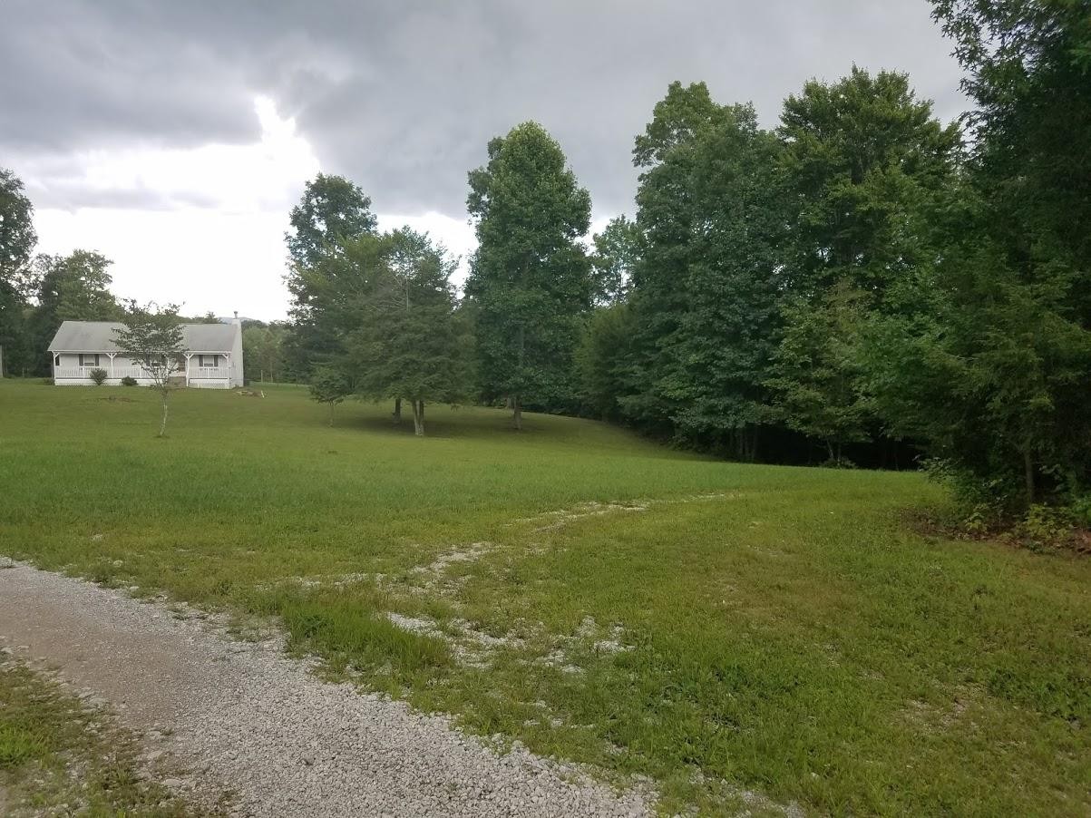 467 Ridge Road Lancing, TN 37770 - Photo 8 of 40 a view of a field with an trees
