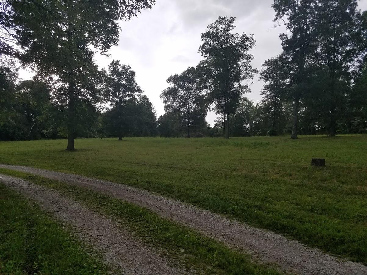 467 Ridge Road Lancing, TN 37770 - Photo 9 of 40 a view of a field with trees