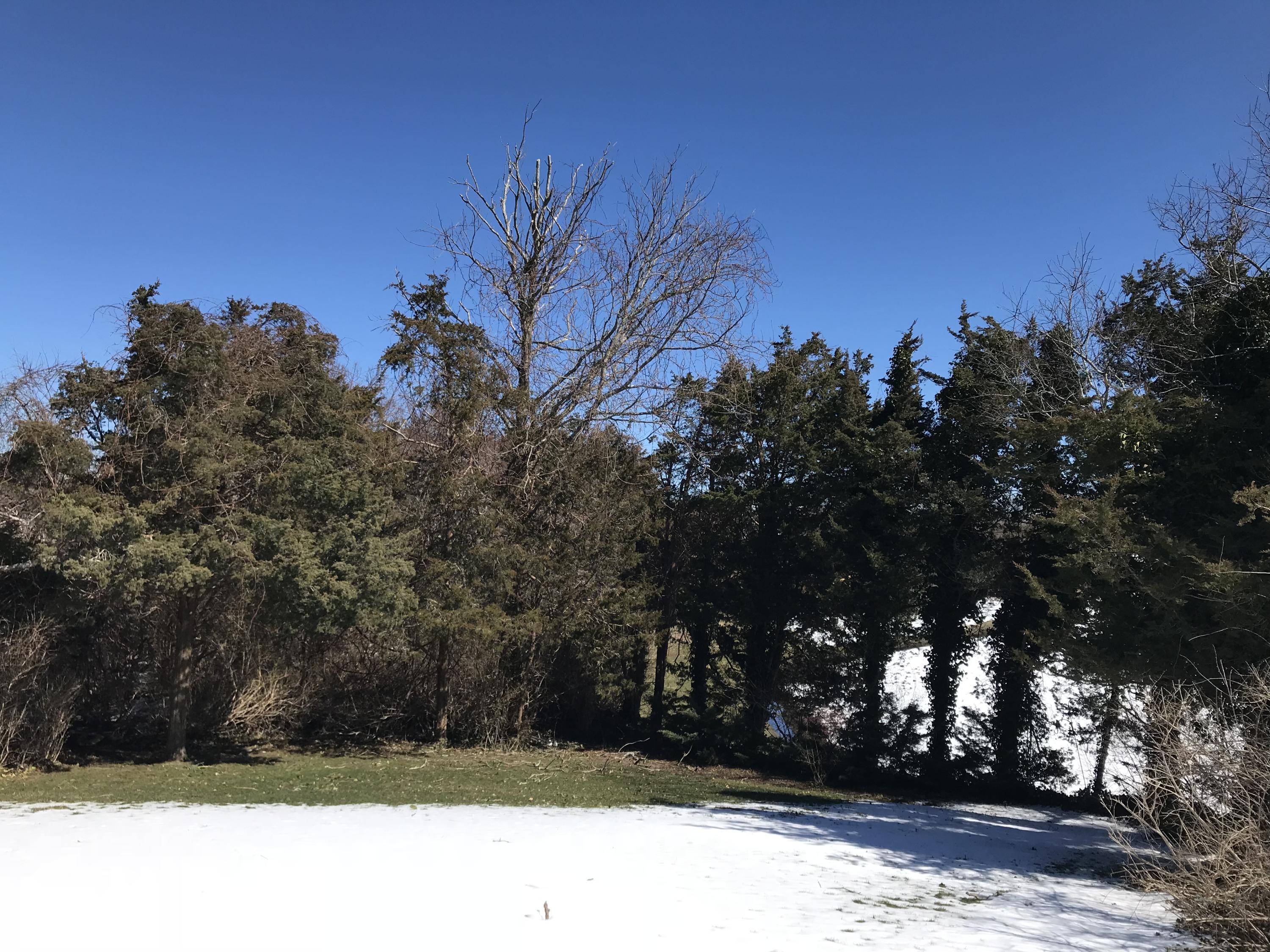 70 Scarsdale Road Dennis, MA 02638 - Photo 2 of 26 2D5694F6-2E42-40ED-A36B-3F694EF963A2