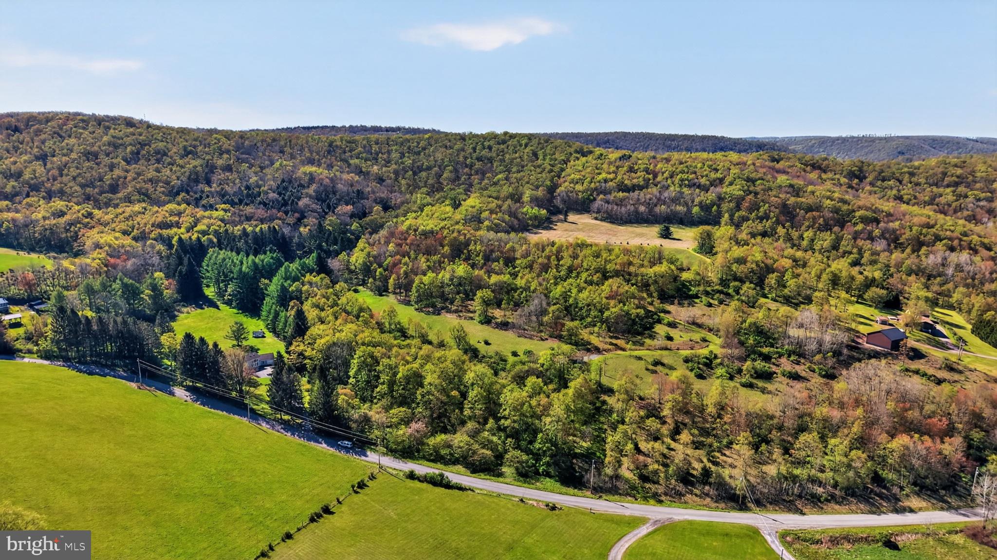 259 A A-Frame Road Coudersport, PA 16915 - Photo 73 of 130 Lush hills embrace serene landscapes.