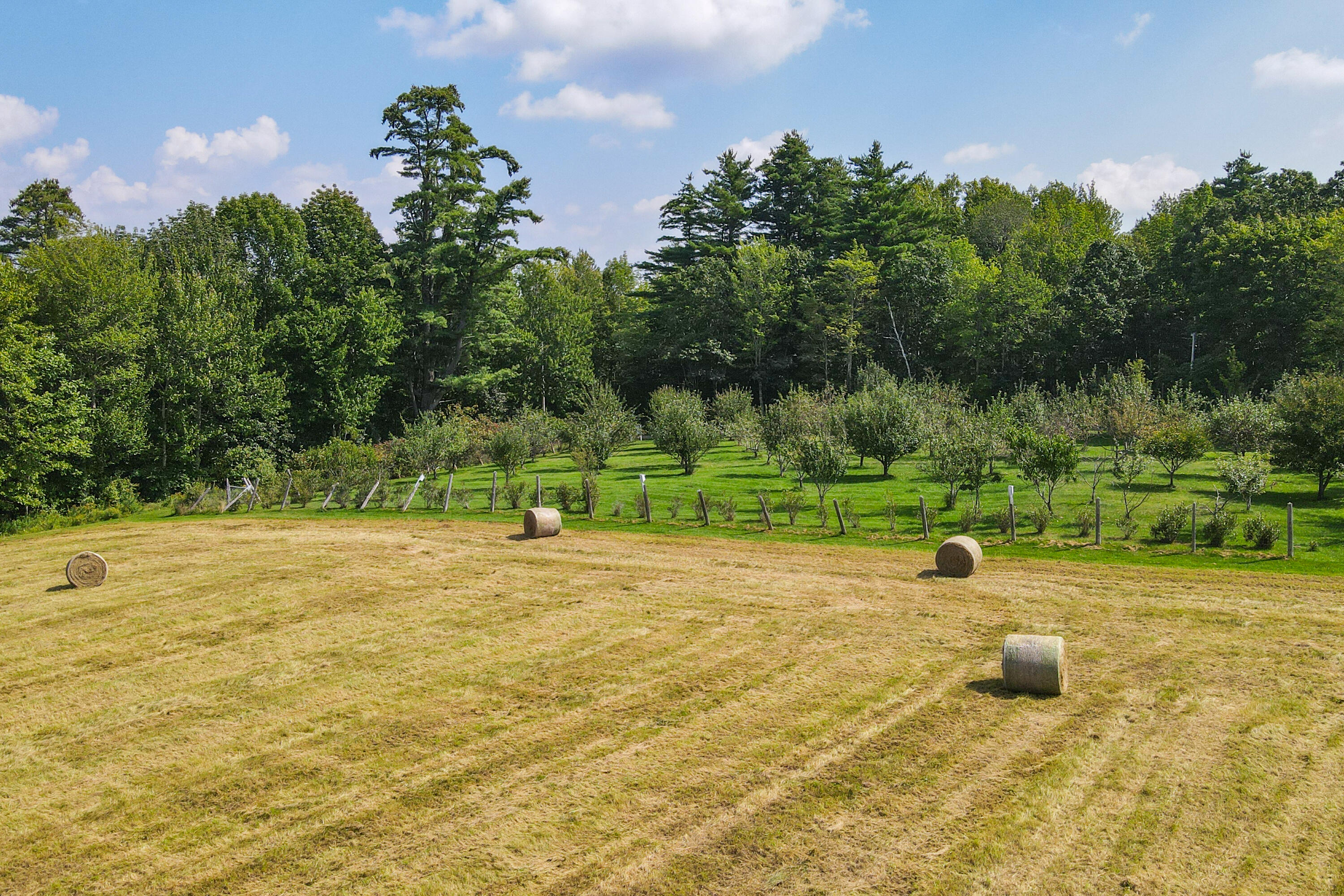 101 Fowles Road Searsmont, ME 04973 - Photo 8 of 50 05-101FowlesRd-Searsmont-KS