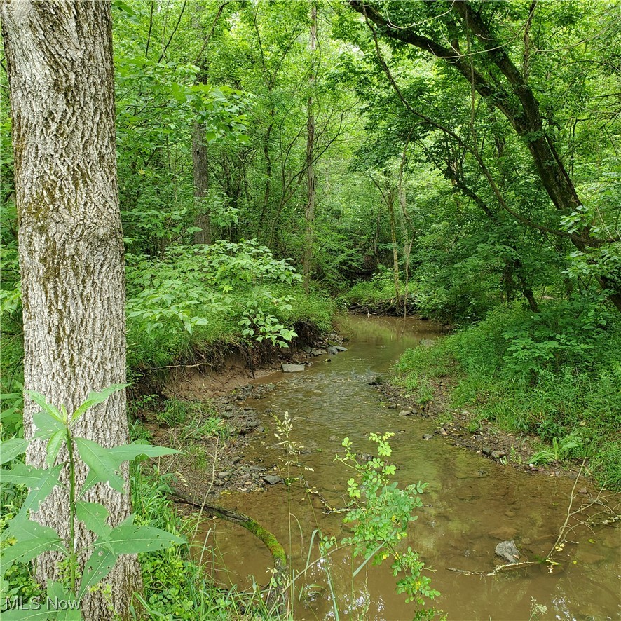 19693 Dudley Road Caldwell, OH 43724 - Photo 34 of 39 View of undeveloped land