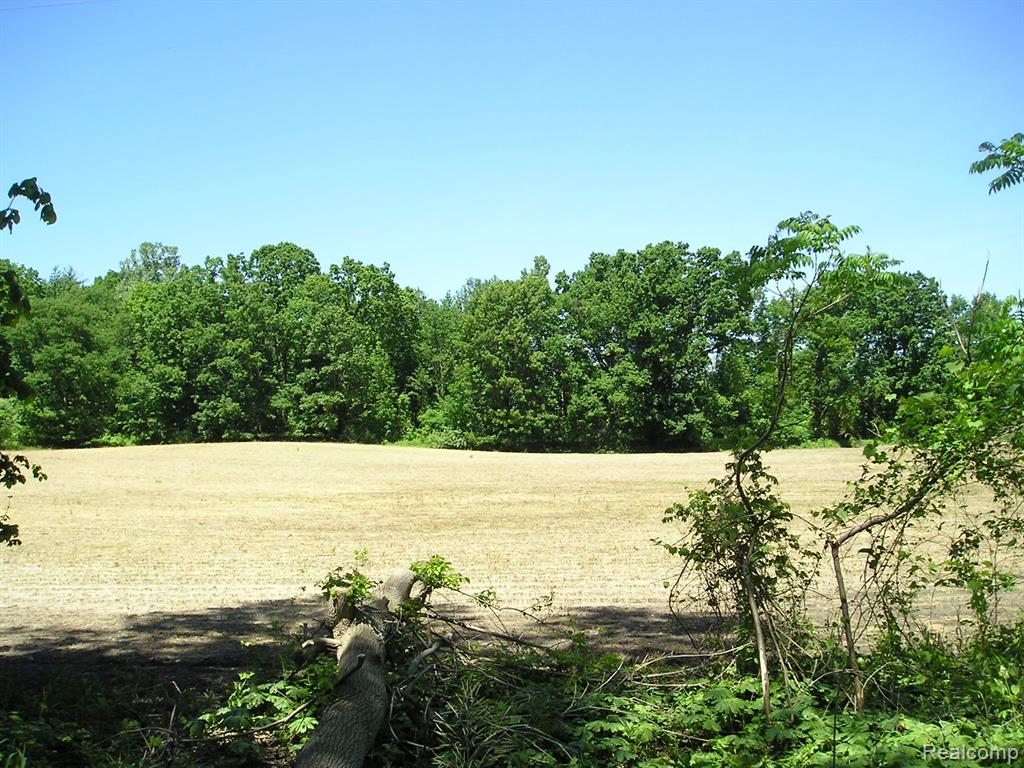 4249 Hunters Creek Road Metamora, MI 48455 - Photo 14 of 19 Gallery Image 14