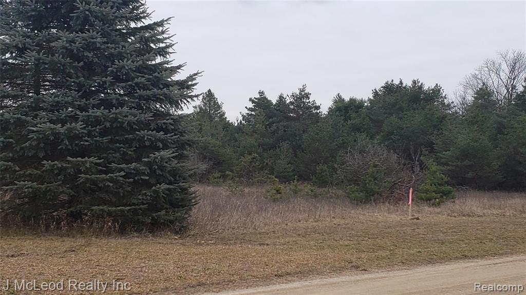 0 Kile Road Vassar, MI 48768 - Photo 1 of 6