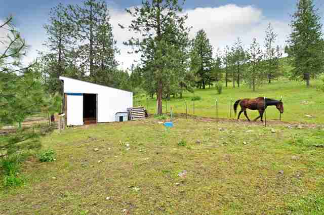 23509 West Long Lake Road Ford, WA 99013 - Photo 8 of 9