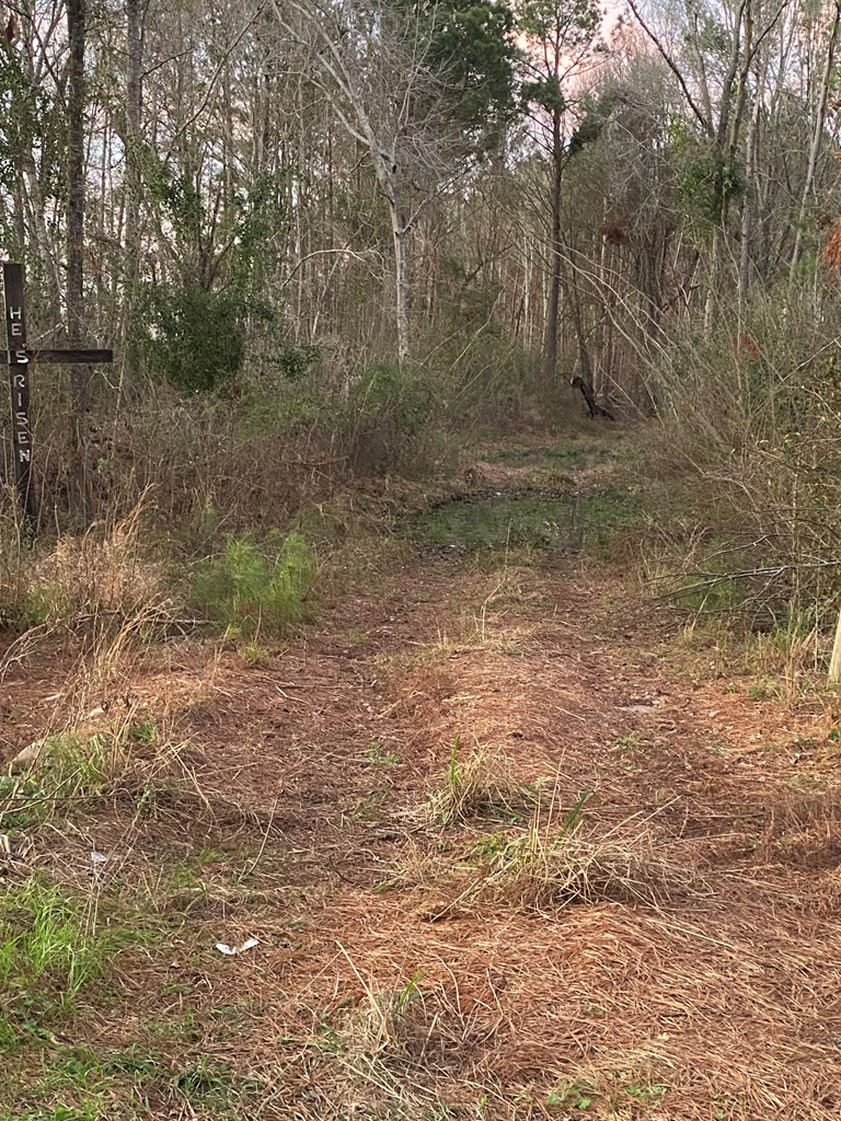 1035 Williams Road Barney, GA 31625 - Photo 7 of 21 Gallery Image 7