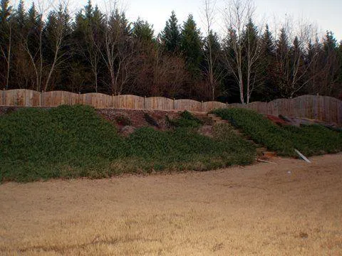 $3,700 | 12755 Morningpark Circle, Alpharetta, GA 30004