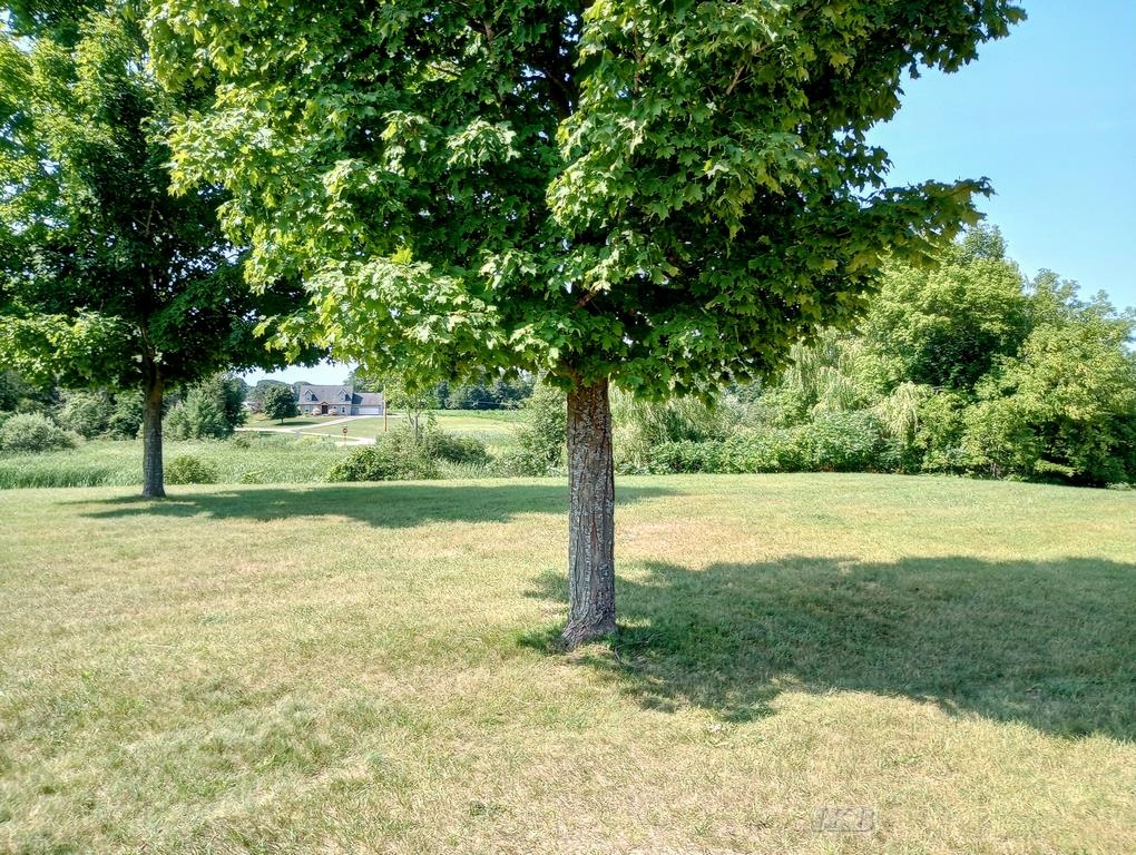 510 Mix Road Gladwin, MI 48624 - Photo 56 of 56
