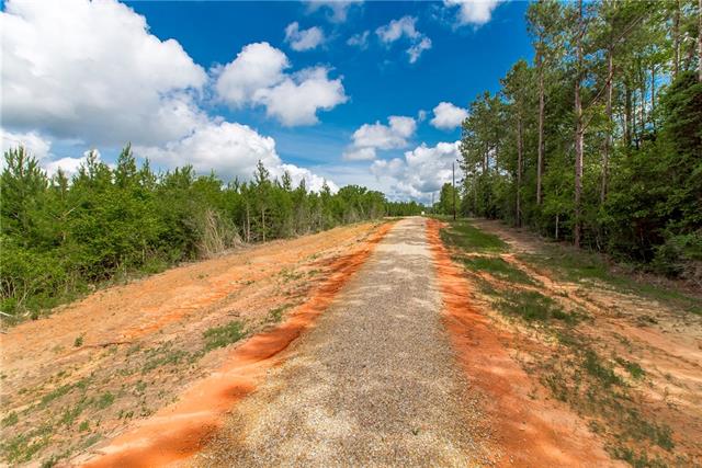 2 436th Highway Angie, LA 70426 - Photo 8 of 19