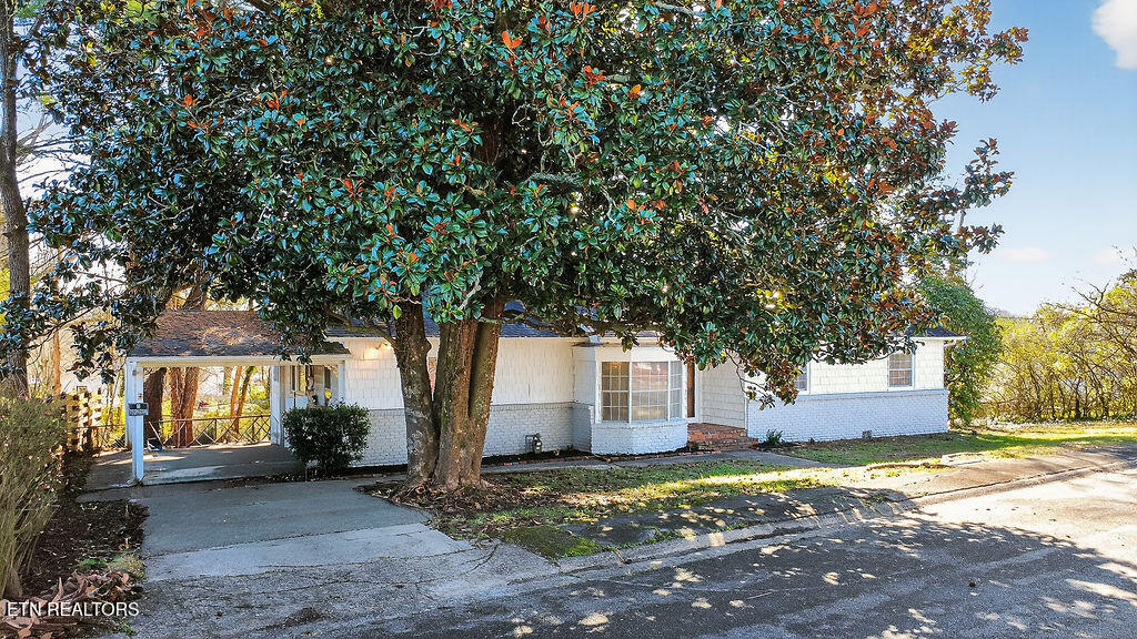 109 East Pasadena Road Oak Ridge, TN 37830 - Photo 2 of 33 Carport, Beautiful Magnolia