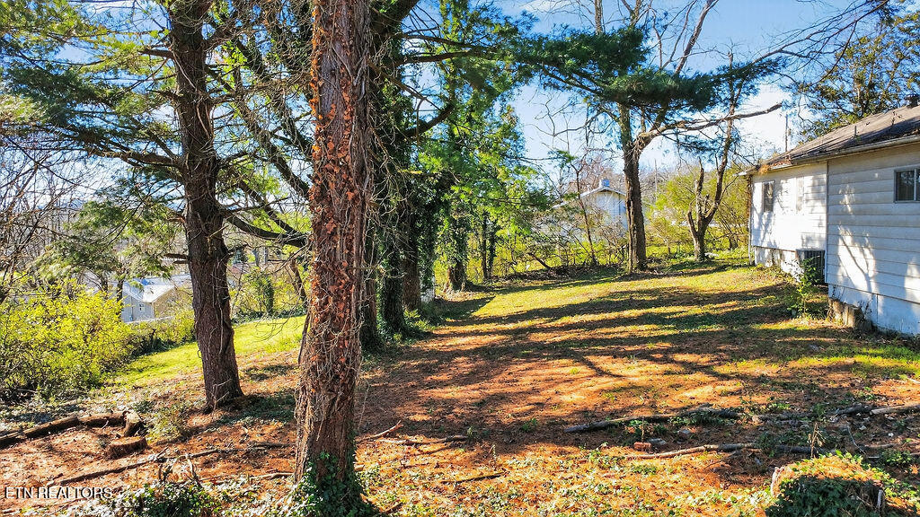 109 East Pasadena Road Oak Ridge, TN 37830 - Photo 29 of 33 Large fenced backyard