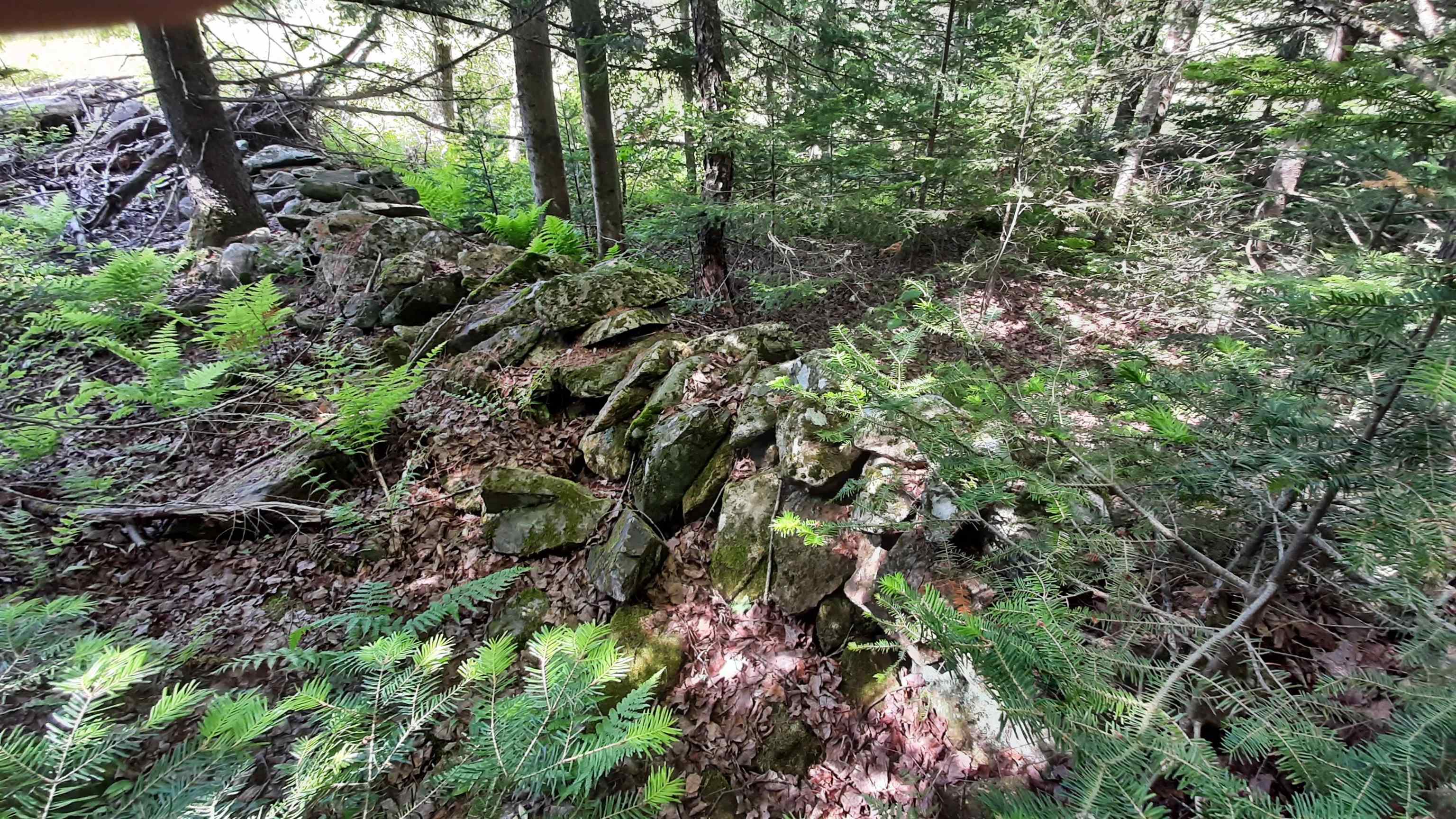 0 Summit Road Mount Holly, VT 05758 - Photo 17 of 37