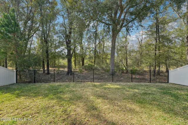 a view of a backyard with large trees