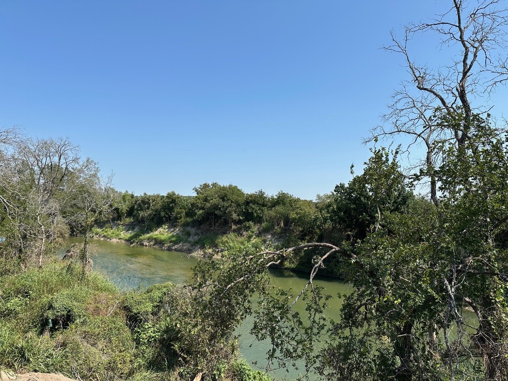 a view of a lake with a tree in the background