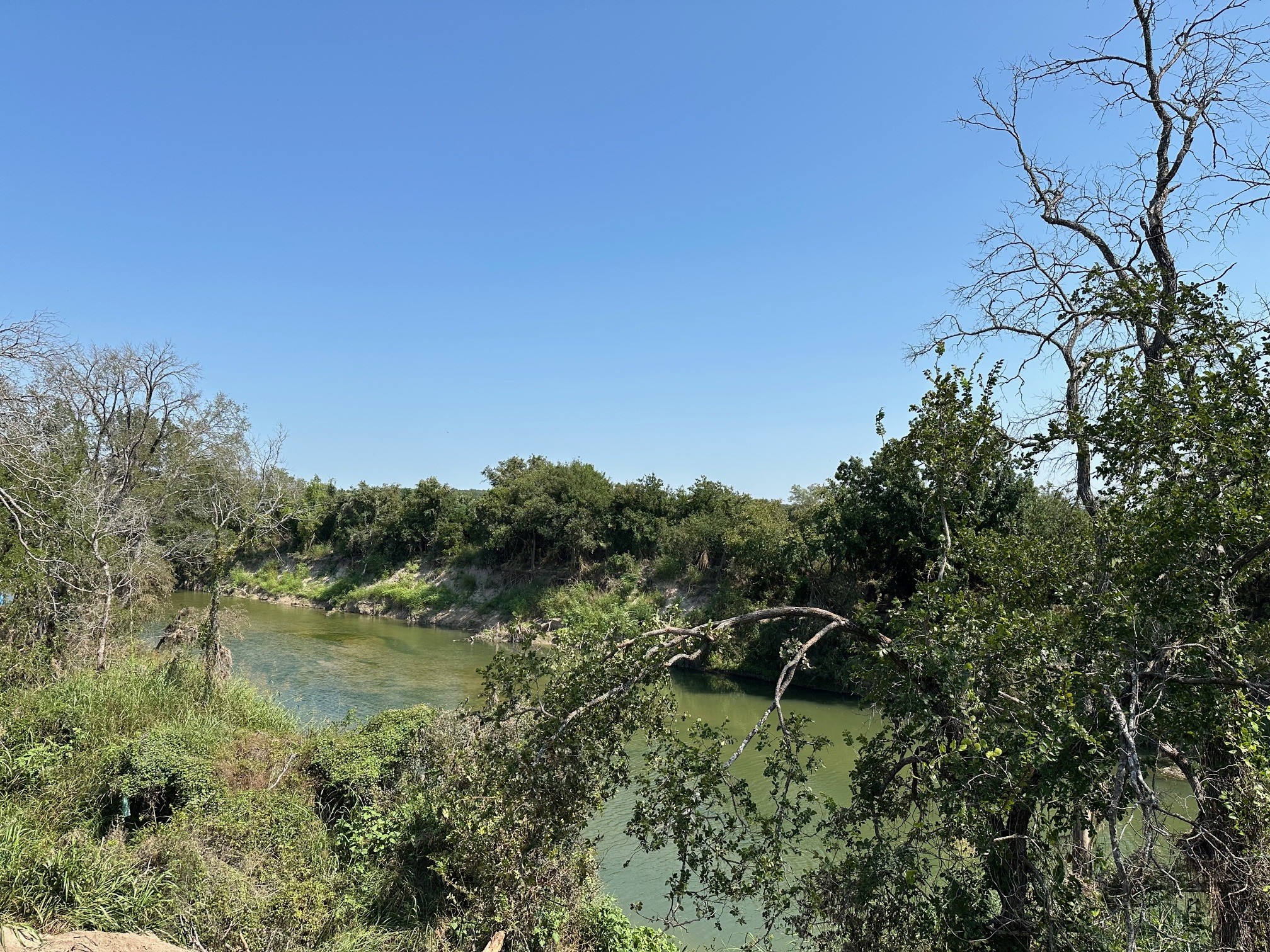 a view of a lake with a tree in the background