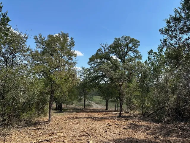 a backyard of a house with lots of trees