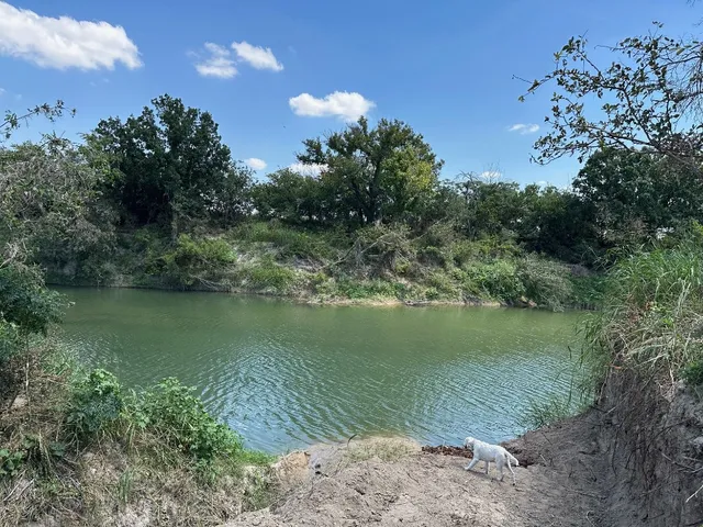 a view of a lake from a yard