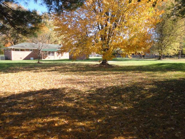 106 Doak Road Manchester, TN 37355 - Photo 2 of 19 The fenced back yard.