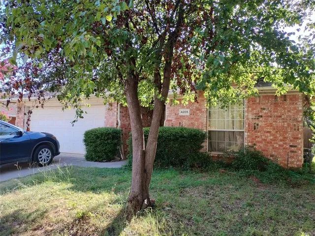 a view of a yard with potted plants and a large tree