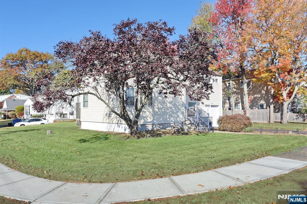 40 Depew Street Dumont, NJ 07628 - Photo 28 of 38 a tall tree in middle of green field