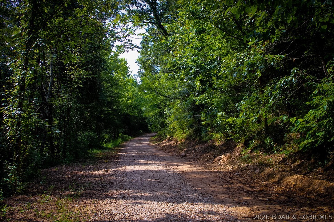 101 Swinging Bridges Road Brumley, MO 65017 - Photo 56 of 57 Gallery Image 56