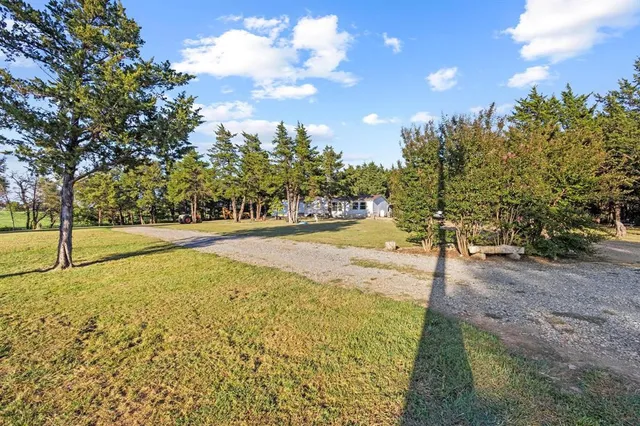 a view of yard with tree