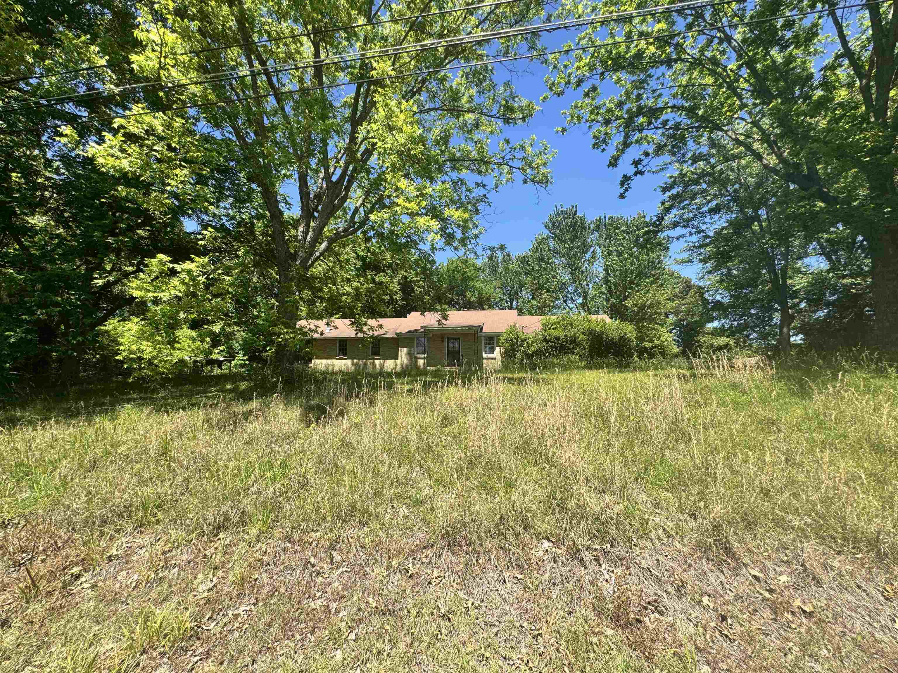 4712 Drummonds Road Drummonds, TN 38023 - Photo 2 of 38 Single-story residence set against a backdrop of mature trees