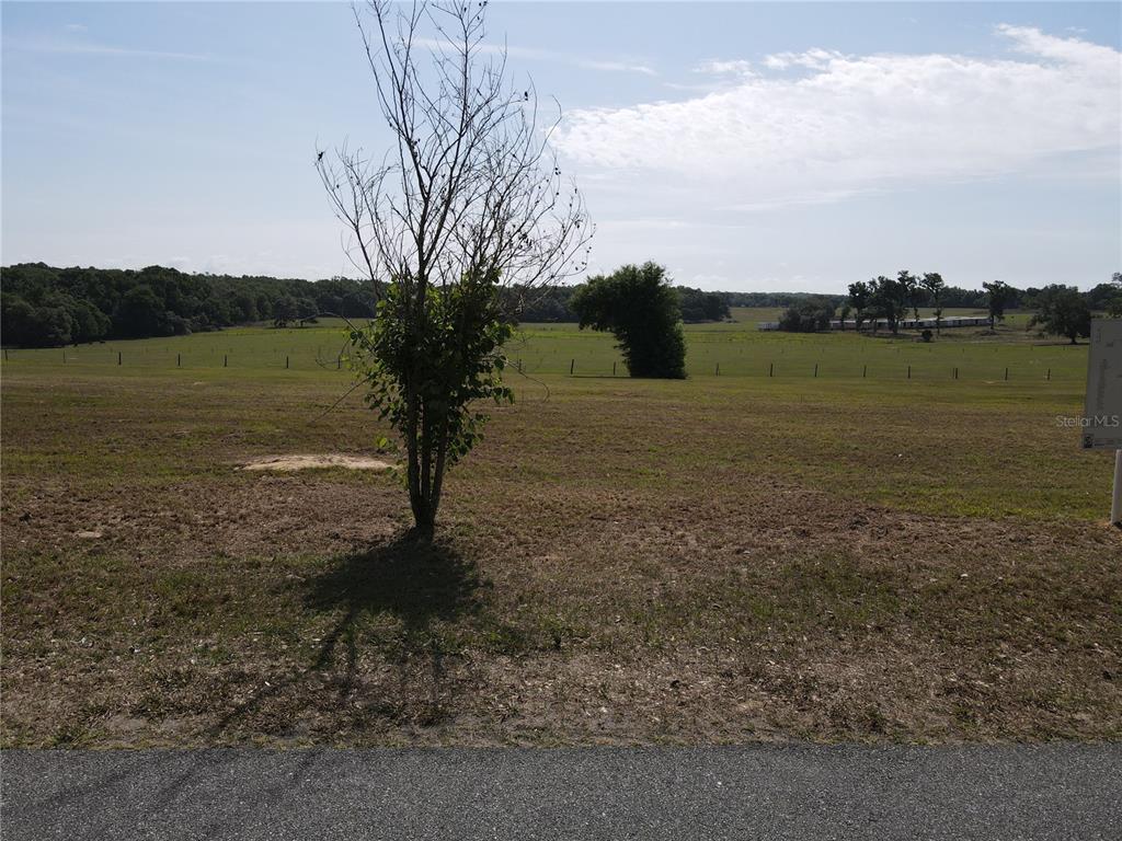 1 Smith Road Dade City, FL 33525 - Photo 23 of 25 a big yard with lots of green space and fog