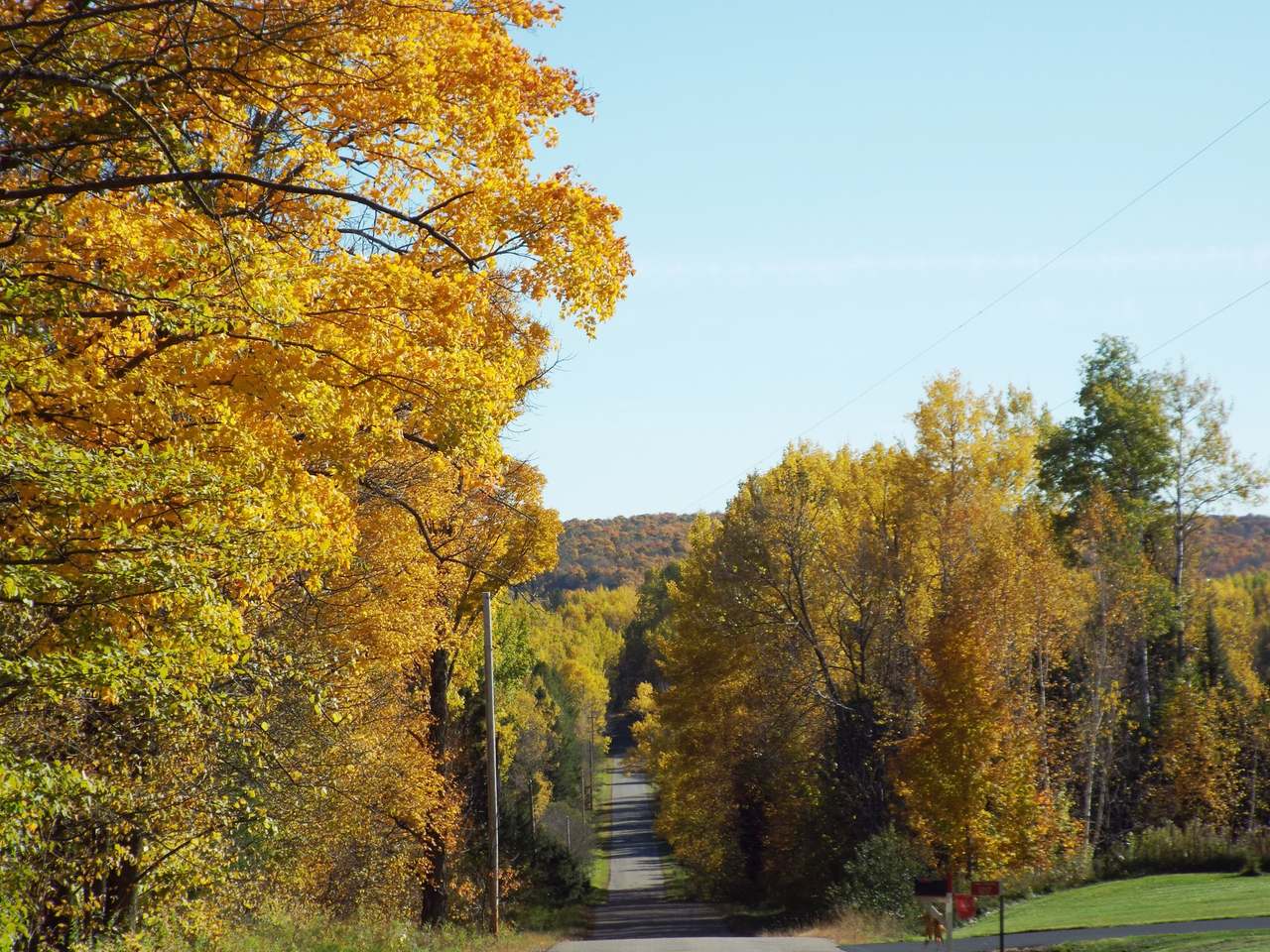 1132 Range Line Road Wabeno, WI 54566 - Photo 44 of 62 Gallery Image 44