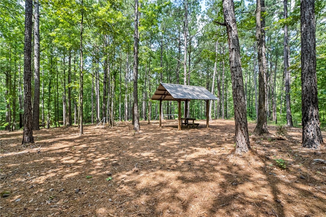 6669 West Farmville Road Waverly, AL 36879 - Photo 39 of 41 Gallery Image 39
