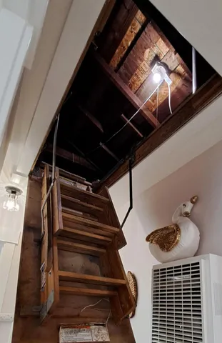 a close up of a white flower in a garden
