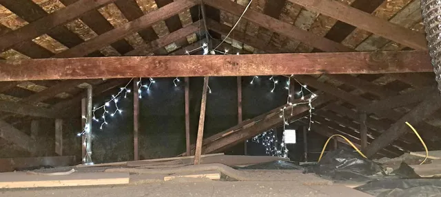 a view of a garden with plants