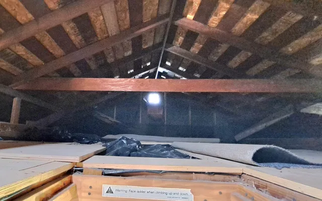 a garden with plants and wooden fence