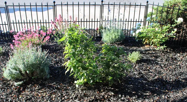 $599,000 | 3811 Roosevelt Avenue, Richmond, CA 94805