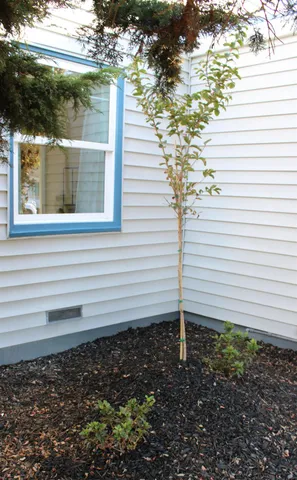 $599,000 | 3811 Roosevelt Avenue, Richmond, CA 94805