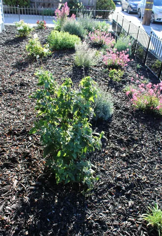 $599,000 | 3811 Roosevelt Avenue, Richmond, CA 94805