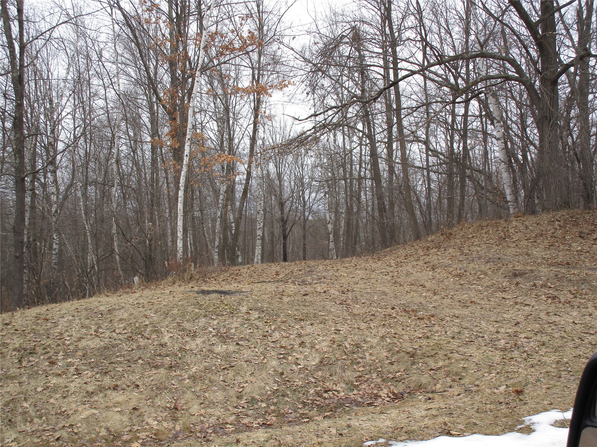 0 Camp Road Weyerhaeuser, WI 54895 - Photo 6 of 10