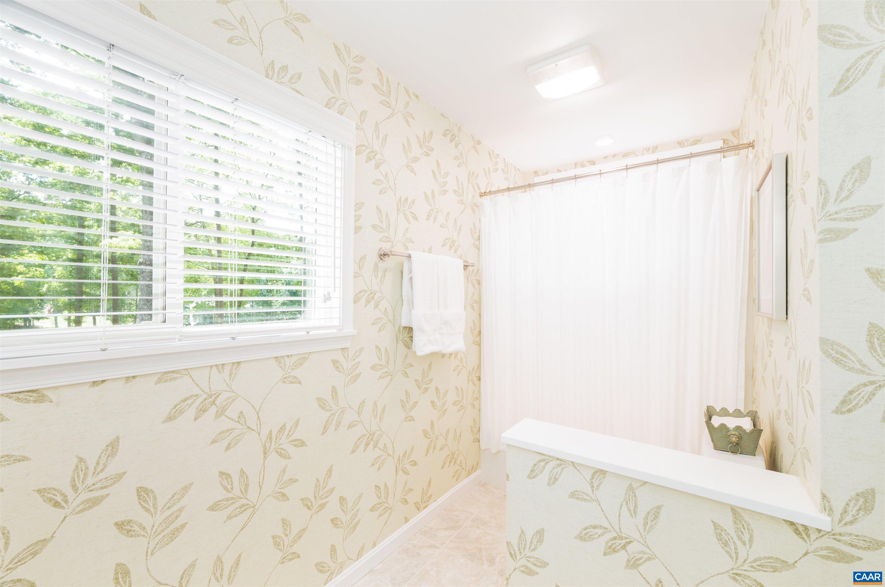 32 Out Of Bounds Road Palmyra, VA 22963 - Photo 21 of 55 a bathroom with a bathtub and shower