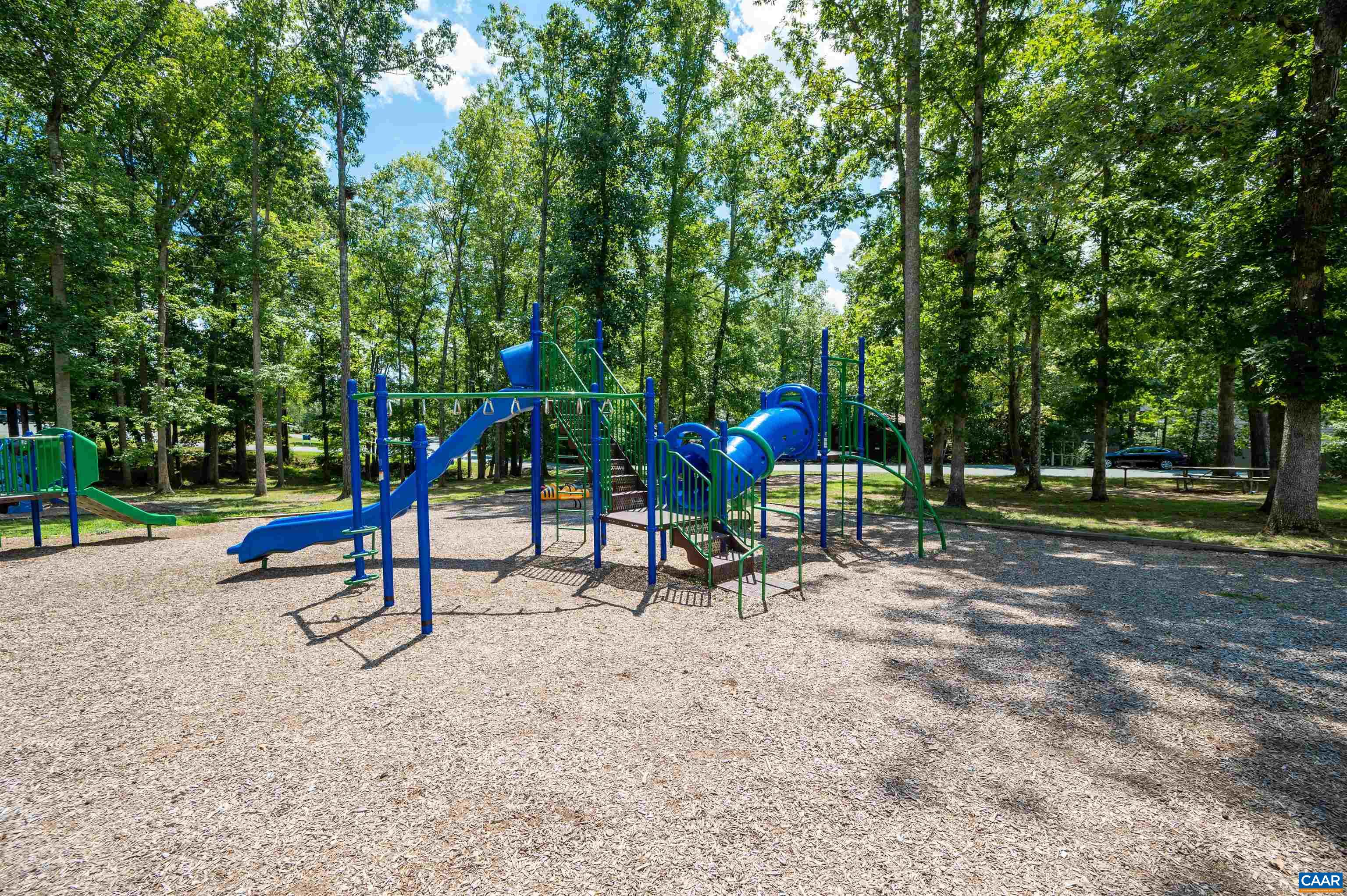 32 Out Of Bounds Road Palmyra, VA 22963 - Photo 54 of 55 a park with lots of trees and covered with tall trees