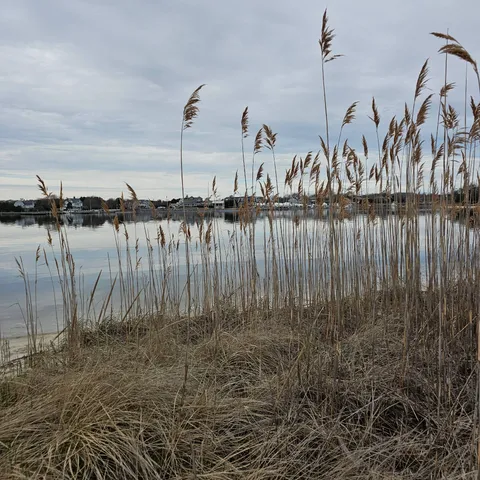 $47,000 | 16 Laila Lane, Remsenburg, NY 11960