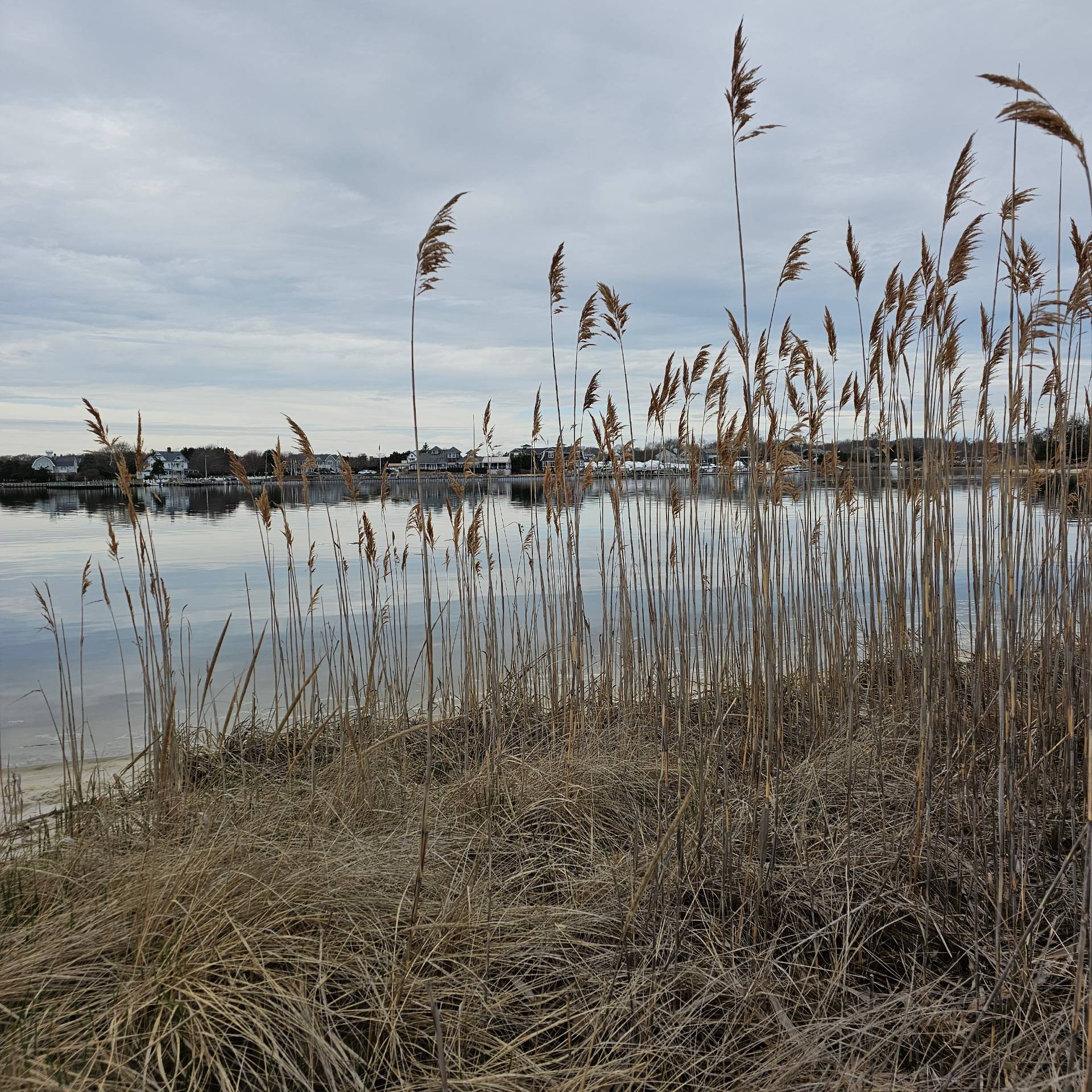 16 Laila Lane Remsenburg, NY 11960 - Photo 39 of 41