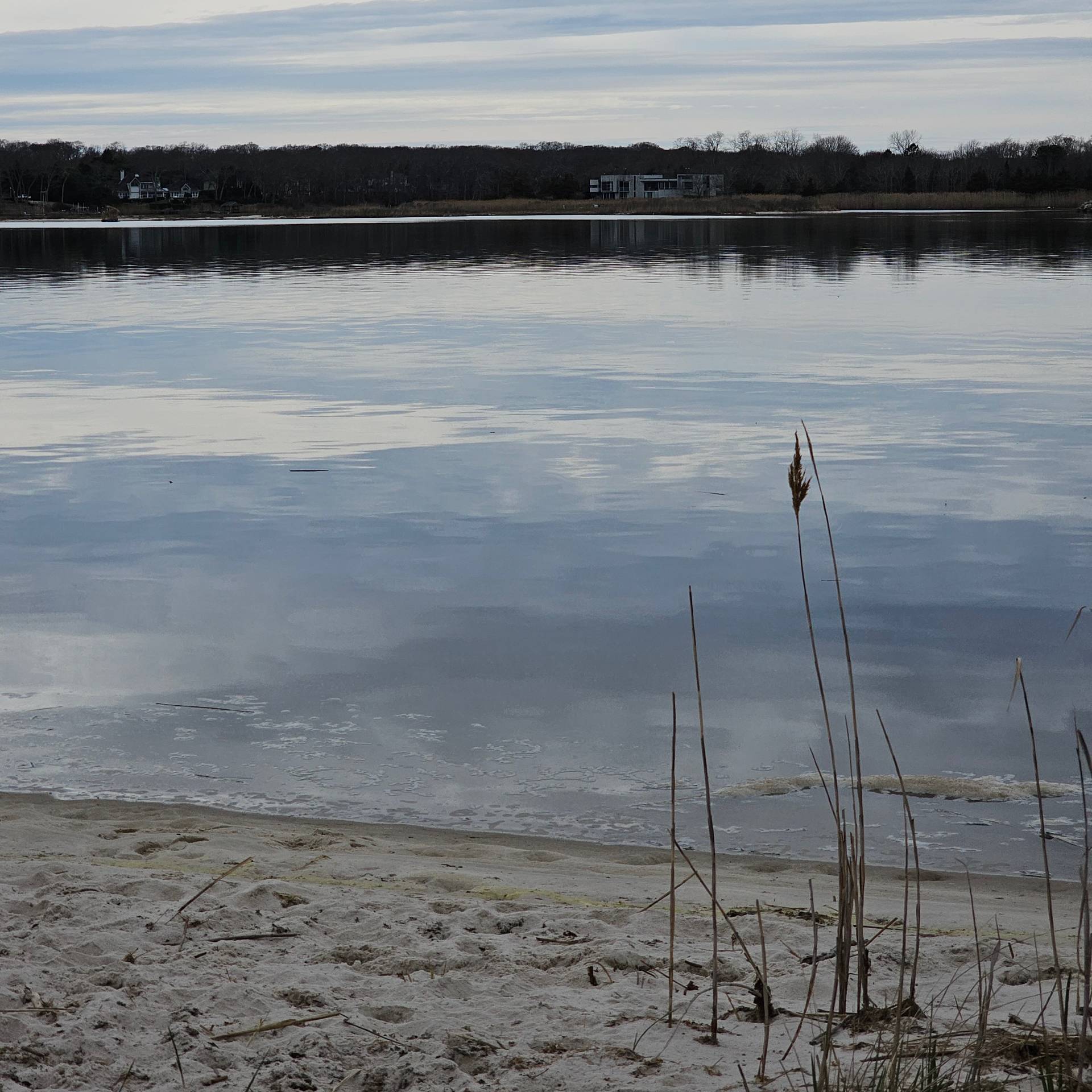 16 Laila Lane Remsenburg, NY 11960 - Photo 40 of 41