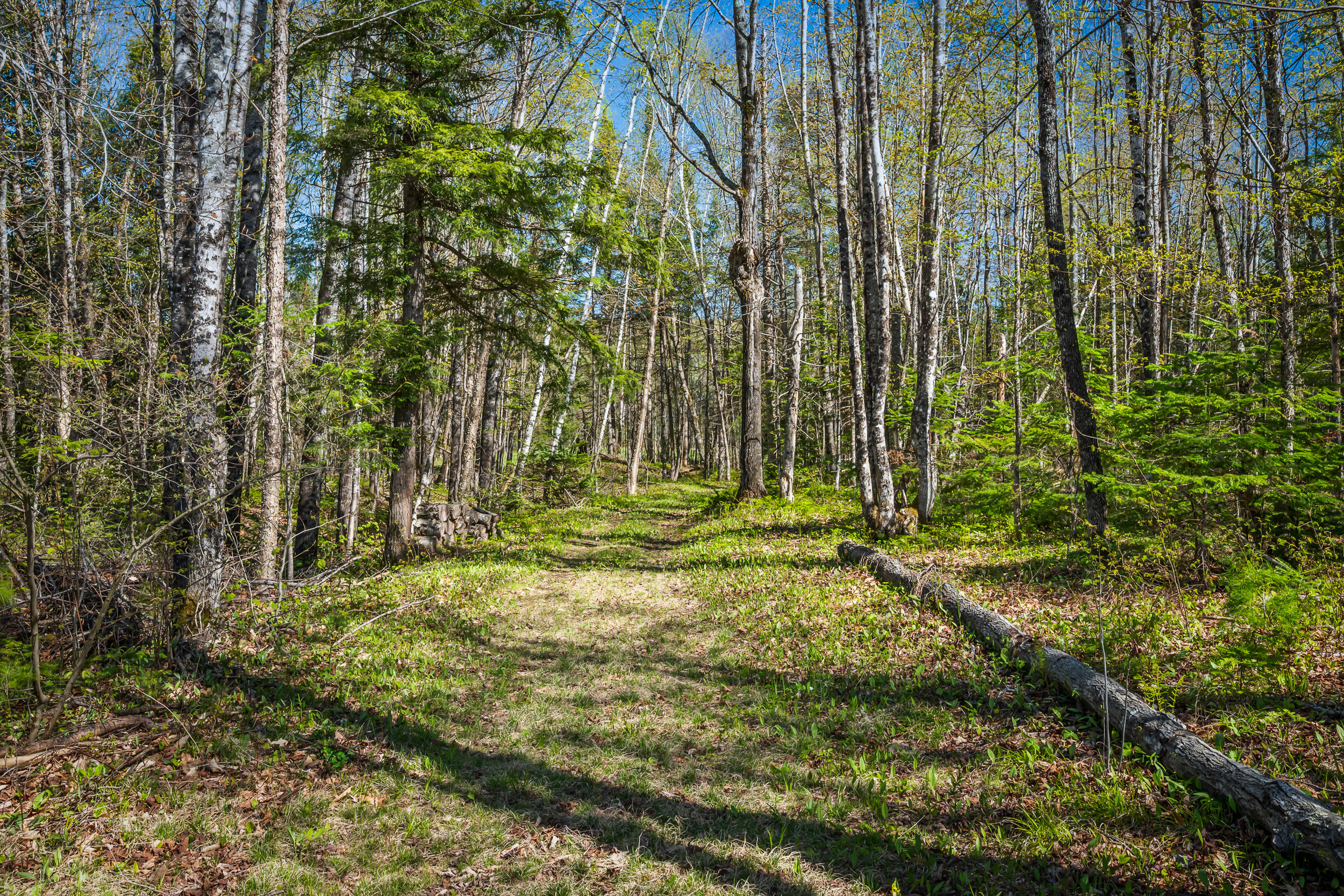 673 Salem Road Kingfield, ME 04947 - Photo 37 of 38 DSC_9080