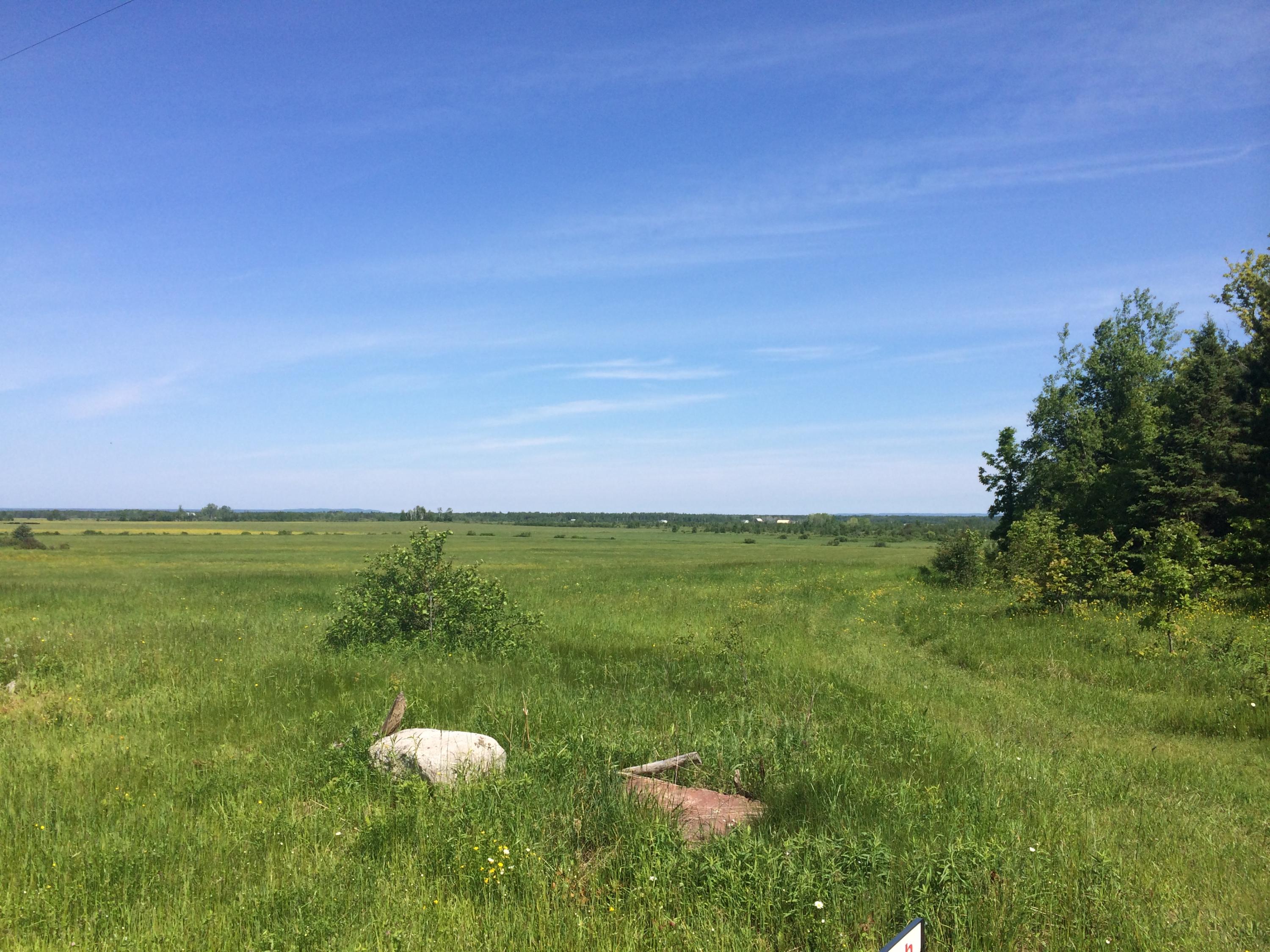 0 West 10 Mile Road Dafter, MI 49724 - Photo 4 of 6 Gallery Image 4