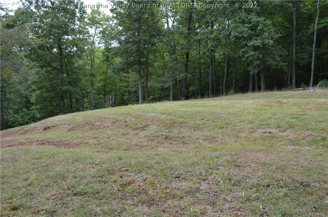 1350 Zion Ridge Road Gay, WV 25244 - Photo 24 of 29 Gallery Image 24