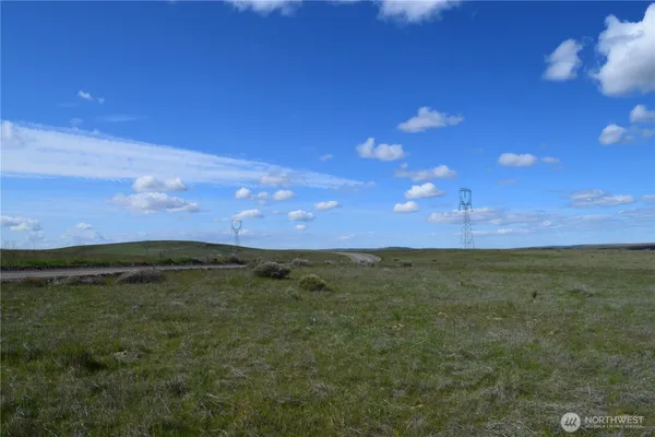 a view of an outdoor space and yard