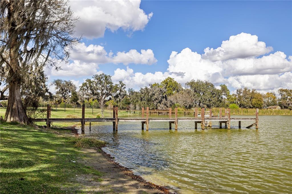 4019 Moores Lake Road Dover, FL 33527 - Photo 35 of 67